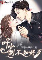 叶少别不知好歹 叶少别不知好歹