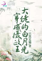 穿成摄政王大佬的白月光 穿成摄政王大佬的白月光
