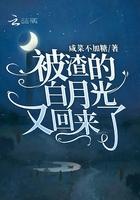 被渣的白月光又回来了 被渣的白月光又回来了