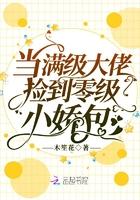 当满级大佬捡到零级小娇包 当满级大佬捡到零级小娇包