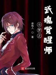 斗罗之武魂觉醒师 斗罗之武魂觉醒师