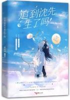 今天追到沈先生了吗 今天追到沈先生了吗