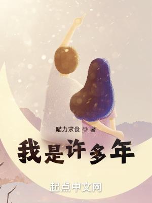 四合院之我是许多年 四合院之我是许多年
