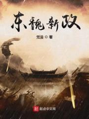 东魏新政 东魏新政