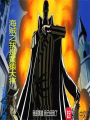 海贼之我是黄猿大将 海贼之我是黄猿大将