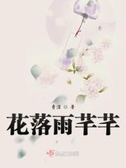 花落雨芊芊 花落雨芊芊