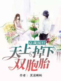 总裁接住,天上掉下双胞胎 总裁接住,天上掉下双胞胎