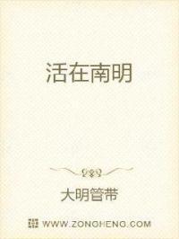 争霸南明 争霸南明