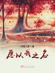 愿以我之名 愿以我之名