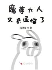 魔尊大人又来逼婚了 魔尊大人又来逼婚了